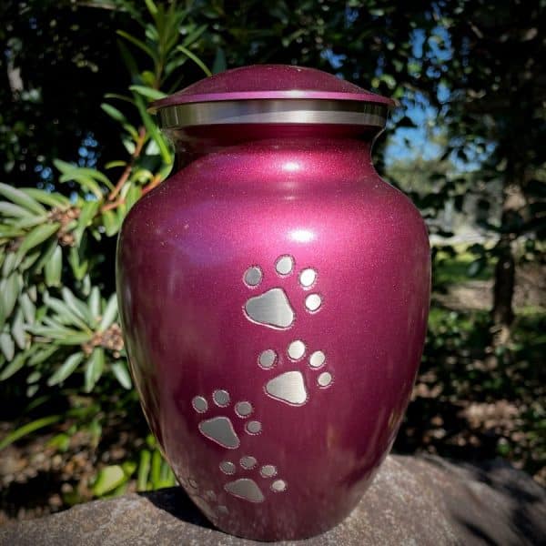 brass Grape coloured pet cremation urn