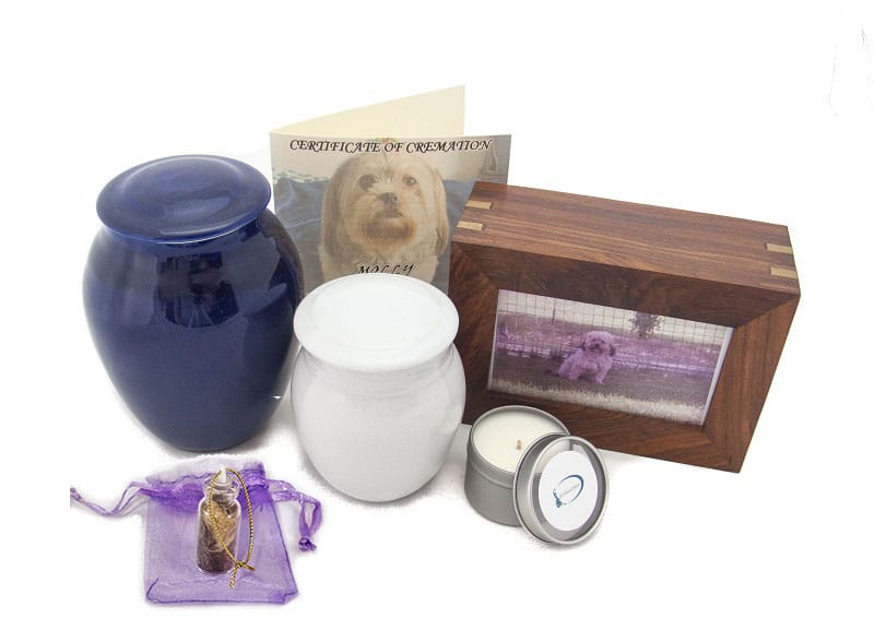 Pet cremation package porcelain urn or timber box