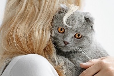 person cuddling pet cat