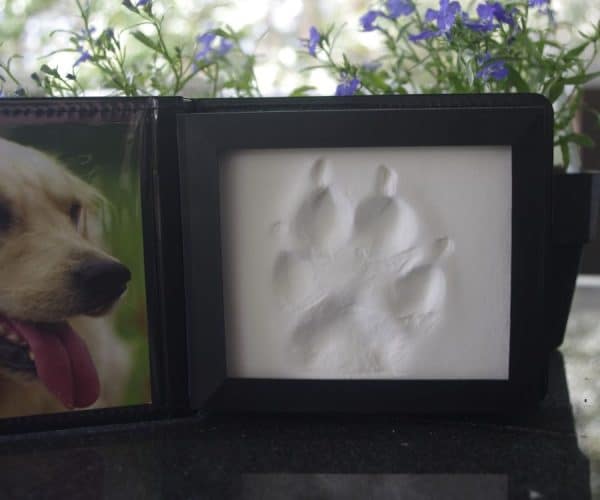 Pet paw print memorial close up