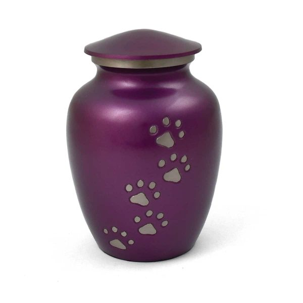 brass paw print cremate urn purple