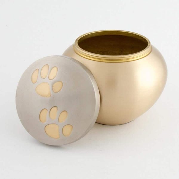 gold round paw print pet cremation urn