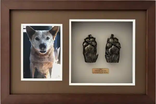 Paw Castings (external product)