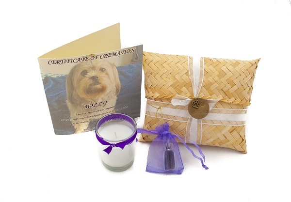 scatter cremation package with card